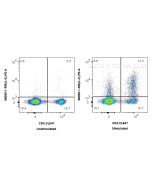 Anti-Mouse IL-2 Rabbit Recombinant Antibody Proteintech  98055-1-RR