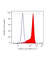 Anti-Human CD64 (10.1) Proteintech  65253-1-Ig