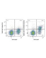 Anti-Mouse TNFRSF13B/CD267 Rabbit Recombinant Antibody Proteintech  98439-2-RR