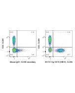 Anti-Human CD19 (HIB19) Proteintech  65110-1-Ig