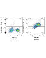 Anti-Mouse PD-L1/CD274 (10F.9G2) Mouse IgG2a Recombinant Antibody Proteintech  65685-1-MR
