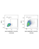 FcZero-rAb? Biotin Anti-Human MCP-1/CCL2 Rabbit Recombinant Antibody Proteintech  Biotin-FcA98044