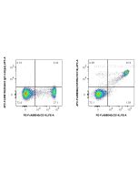 FcZero-rAb? APC Anti-Human CSF2RA/CD116 Rabbit Recombinant Antibody Proteintech  APC-FcA98066