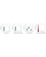 Mouse IgG1, λ isotype control Recombinant Antibody Proteintech  98741-1-MR