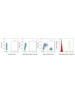 Mouse IgG2a, κ Isotype Control Recombinant Antibody Proteintech  98599-1-MR