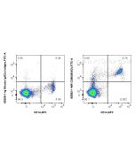 Anti-Human CD86 (BU63) Mouse IgG2a Recombinant Antibody Proteintech  65592-1-MR