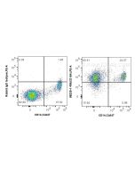 Anti-Human CD164 Rabbit Recombinant Antibody Proteintech  98239-1-RR