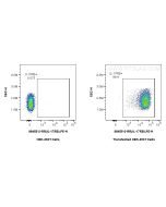 Anti-Mouse IL-17RB Rabbit Recombinant Antibody Proteintech  98455-2-RR