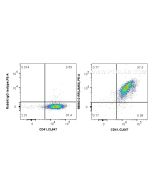 Anti-Human JAM3 Rabbit Recombinant Antibody Proteintech  98660-3-RR
