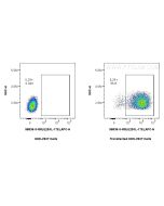 Anti-Mouse IL-25/IL-17E Rabbit Recombinant Antibody Proteintech  98536-3-RR