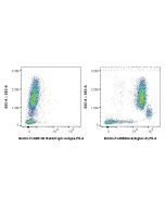 FcZero-rAb? Biotin Anti-Human Siglec-9 Rabbit Recombinant Antibody Proteintech  Biotin-FcA98264-6
