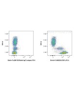 FcZero-rAb? Biotin Anti-Human CD81 Rabbit Recombinant Antibody Proteintech  Biotin-FcA98202