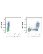Anti-Human CD85j / LILRB1 Rabbit Recombinant Antibody Proteintech  98471-1-RR