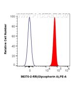 Anti-Human Glycophorin A/CD235a Rabbit Recombinant Antibody Proteintech  98370-2-RR