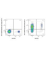 FcZero-rAb? APC Anti-Human CXCR4/CD184 Rabbit Recombinant Antibody Proteintech  APC-FcA98175