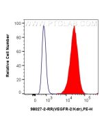 Anti-Mouse VEGFR2/CD309 Rabbit Recombinant Antibody Proteintech  98027-2-RR