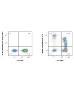 Anti-Human CD73 Rabbit Recombinant Antibody Proteintech  98566-1-RR