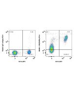 Anti-Human EMR2/CD312 Rabbit Recombinant Antibody Proteintech  98260-1-RR