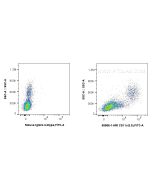 Anti-Human CD11c (3.9) Mouse IgG2a Recombinant Antibody Proteintech  65568-1-MR