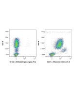 Anti-Human LILRA2/CD85h Rabbit Recombinant Antibody Proteintech  98607-1-RR