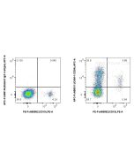 FcZero-rAb? APC Anti-Human ICAM-1/CD54 Rabbit Recombinant Antibody Proteintech  APC-FcA98011