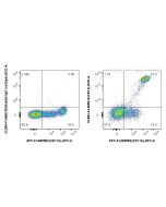 FcZero-rAb? CoraLite? Plus 594 Anti-Human CD14 (26IC) Rabbit IgG Recombinant Antibody Proteintech  CL594-FcA65616