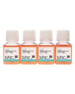 AtT-20 Cell Complete Medium procell CM-0028