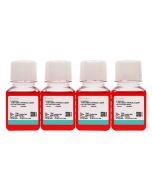 Calu-1 Cell Complete Medium procell CM-0053