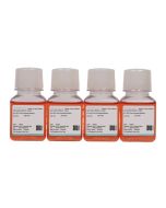 4T1-GFP Cell Complete Medium procell CM-1047