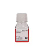 Rabbit Adipose-Derived Stem Cell Complete Medium procell CM-Rb027