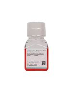 Human Aortic Endothelial (Primary cell immortalization) Cell Complete Medium procell CM-H080Y