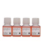 Jurkat, Clone E6-1 Cell Complete Medium procell CM-0129