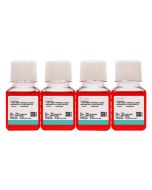 DMEM (High glucose) Complete Medium (10) procell PM150210B