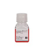 Rat Great Saphenous Vein Endothelial Cell Complete Medium procell CM-R080