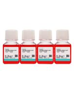 NK-92MI Cell Complete Medium procell CM-0533
