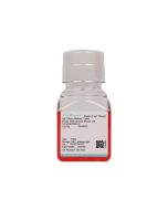 Mouse Aortic Smooth Muscle Cell Complete Medium procell CM-M076