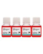 LM/TK [LMTK-] Cell Complete Medium procell CM-0142