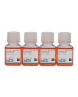 A2 Cell Complete Medium procell CM-0252