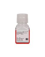 Human Coronary Artery Smooth Muscle Cell Complete Medium procell CM-H167