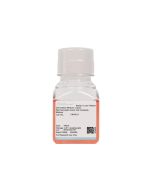 Rat Pancreatic Acinar Cell Complete Medium procell CM-R211