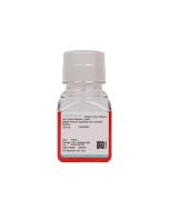 Rabbit Amniotic Epithelial Cell Complete Medium procell CM-Rb042