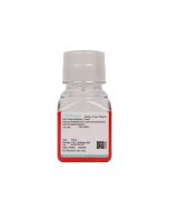 Human Adipose-derived Mesenchymal Stem (Primary cell immortalization) Cell Complete Medium procell CM-H202Y