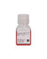 Human Bone Marrow Monocyte Complete Medium procell CM-H185