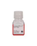 Rat Brain Artery Vascular Smooth Muscle Cell Complete Medium procell CM-R101