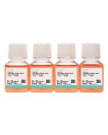 CHO-K1 Cell Complete Medium procell CM-0062