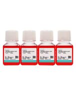 HT-29 Cell Complete Medium procell CM-0118
