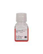 Rabbit Lens Epithelial Cell Complete Medium procell CM-Rb004