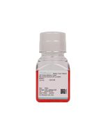 Rat Corneal Stromal Cell Complete Medium procell CM-R168