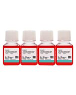 SCC-9 [SCC 9; SCC9] Cell Complete Medium procell CM-0571