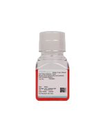 Mouse Small Intestine Mucosal Epithelial Cell Complete Medium procell CM-M045